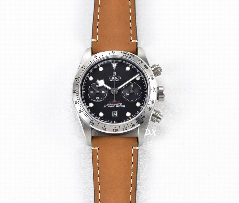 Tudor 41mm 10nms (2)