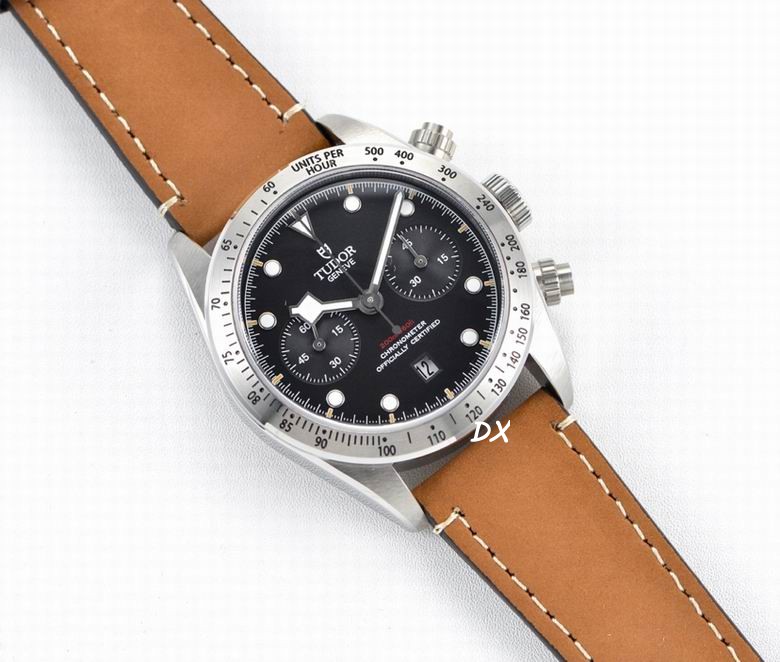 Tudor 41mm 10nms (3)