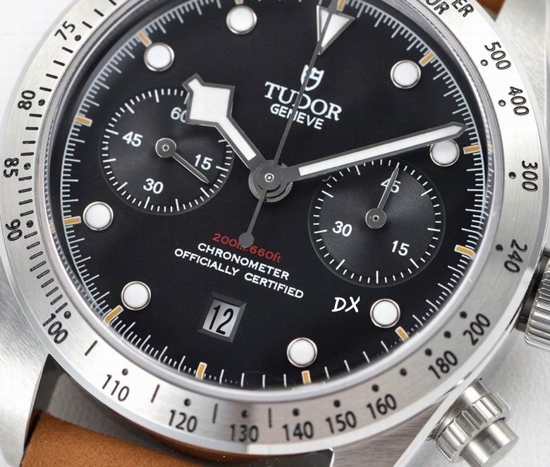 Tudor 41mm 10nms (5)