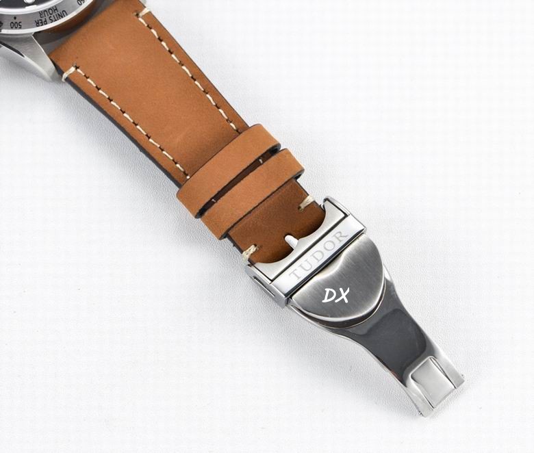 Tudor 41mm 10nms (9)