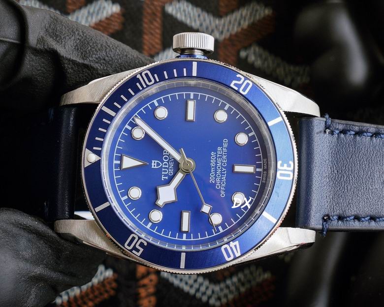 Tudor 42mm 10nms (12)