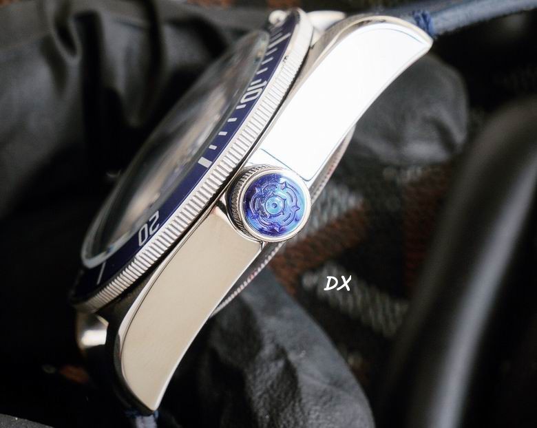 Tudor 42mm 10nms (13)