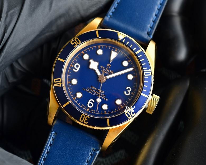 Tudor 42mm 10nms (2)