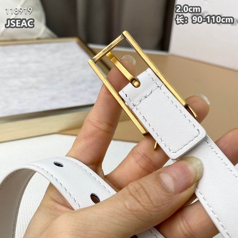YSL belt 20mmX90-110cm 8L (3)