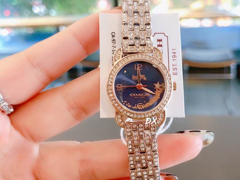 Coach 22mm 2nms (10)