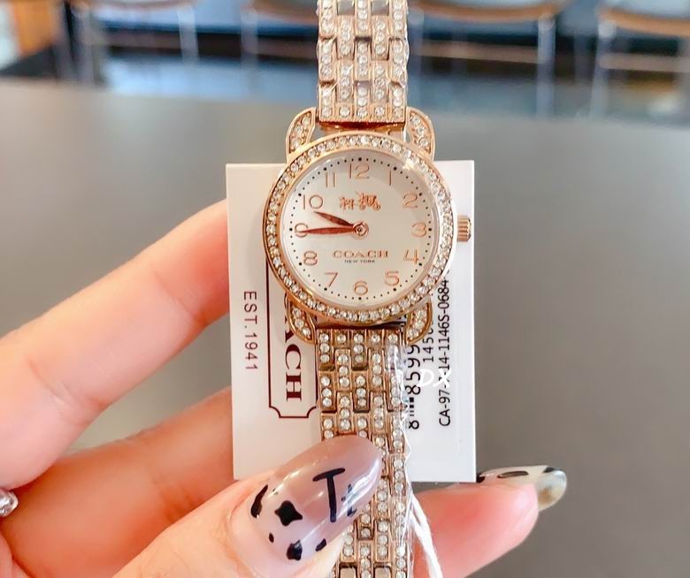 Coach 22mm 2nms (10)