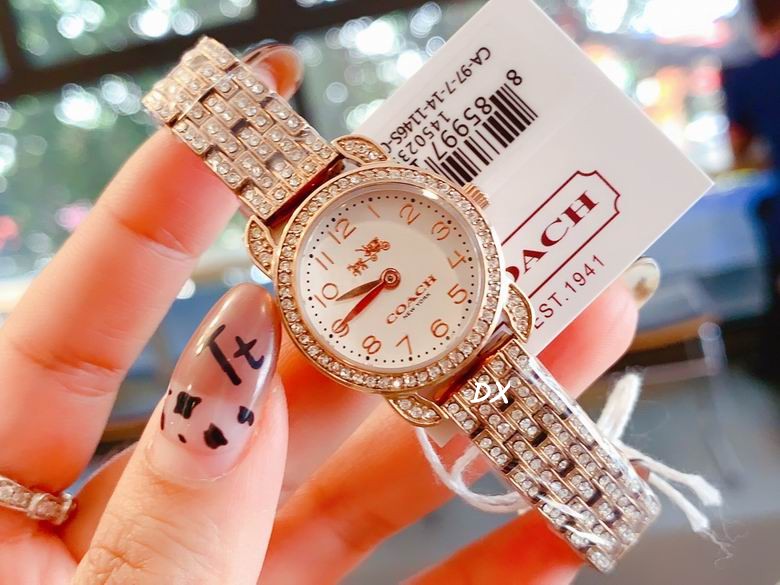 Coach 22mm 2nms (13)