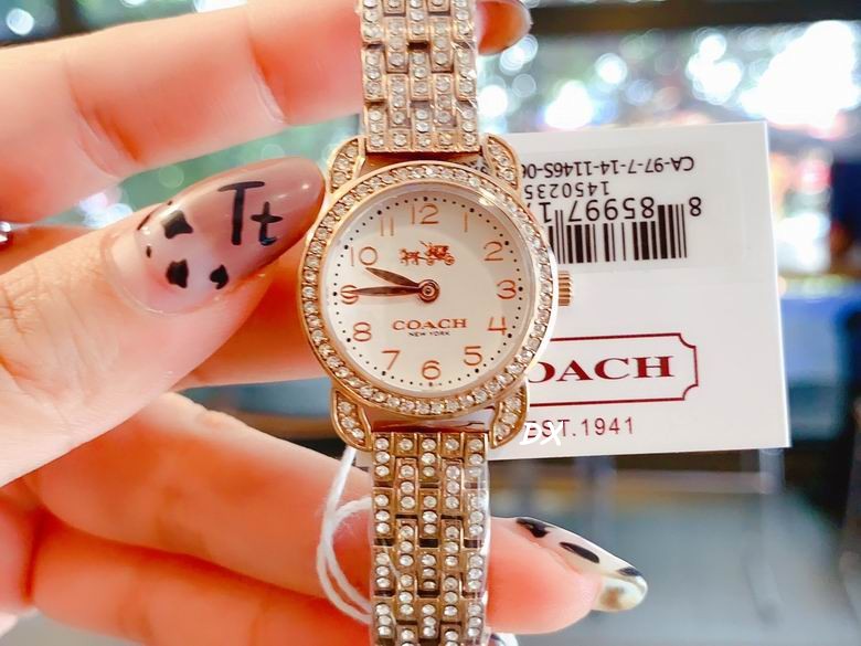 Coach 22mm 2nms (14)