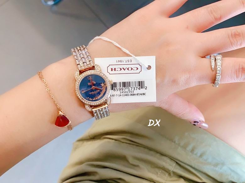 Coach 22mm 2nms (15)