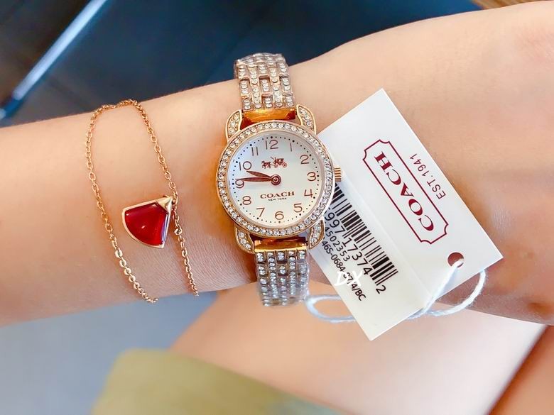 Coach 22mm 2nms (15)