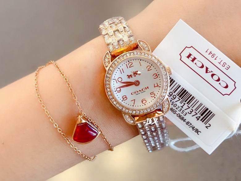 Coach 22mm 2nms (16)