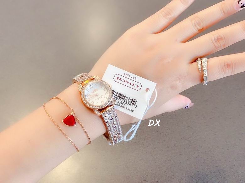 Coach 22mm 2nms (17)