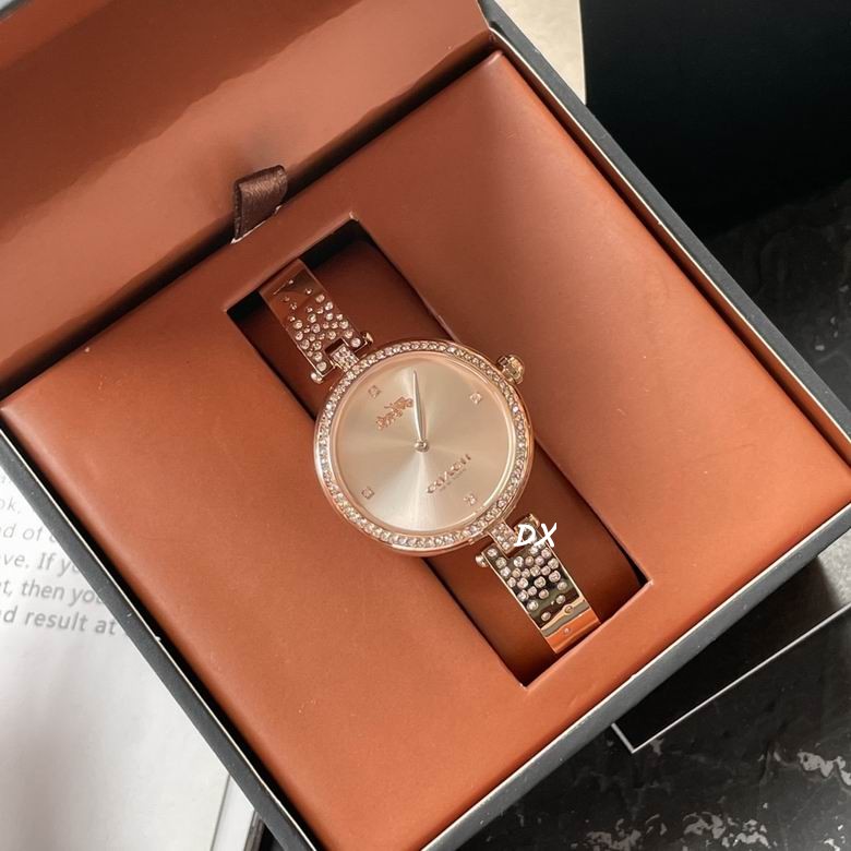 Coach 30mm 5nms (21)