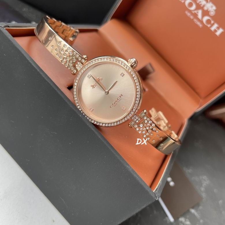 Coach 30mm 5nms (23)