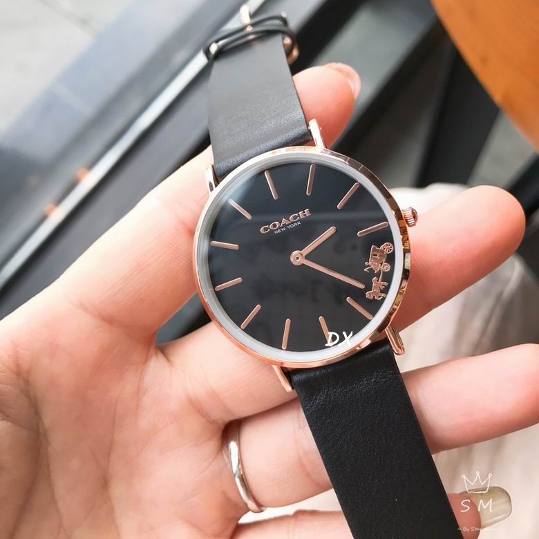 Coach 32 36mm 2nms (2)