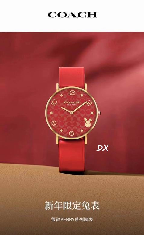 Coach 32mm 12nms (14)