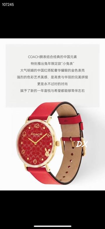 Coach 32mm 12nms (15)