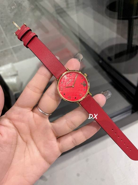 Coach 32mm 12nms (2)