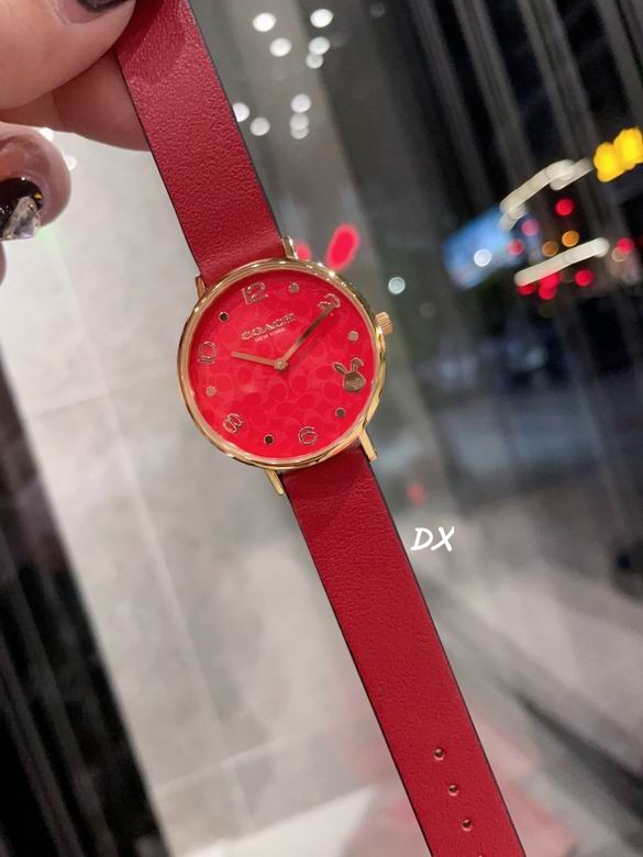 Coach 32mm 12nms (3)