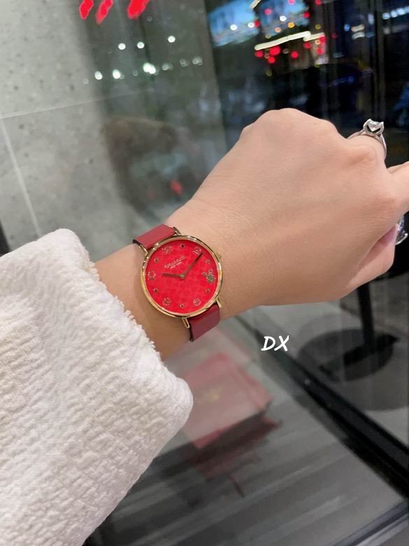 Coach 32mm 12nms (9)