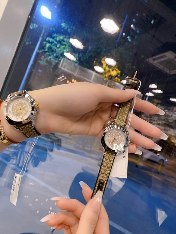 Coach 36mm 1nms (11)