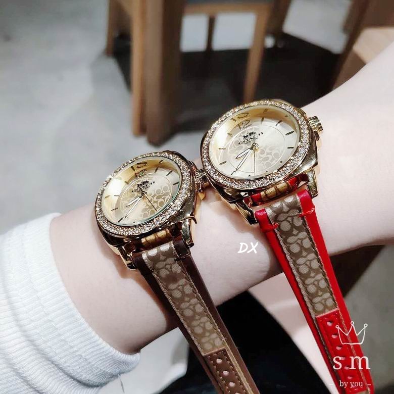 Coach 36mm 2nms (20)