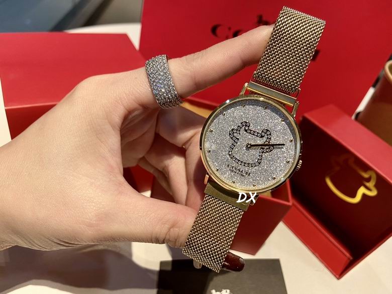 Coach 36x7.5mm 2nms (11)