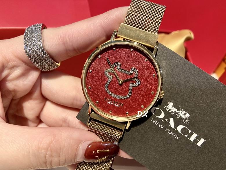 Coach 36x7.5mm 2nms (3)