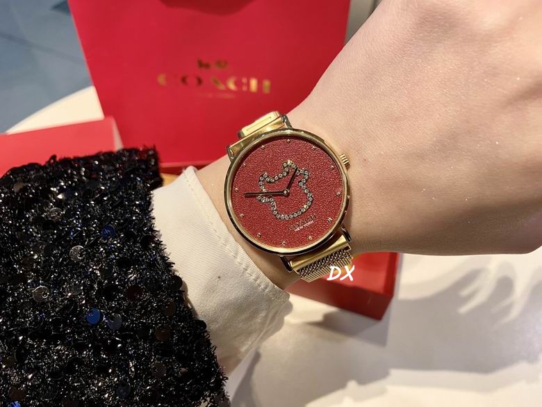 Coach 36x7.5mm 2nms (5)