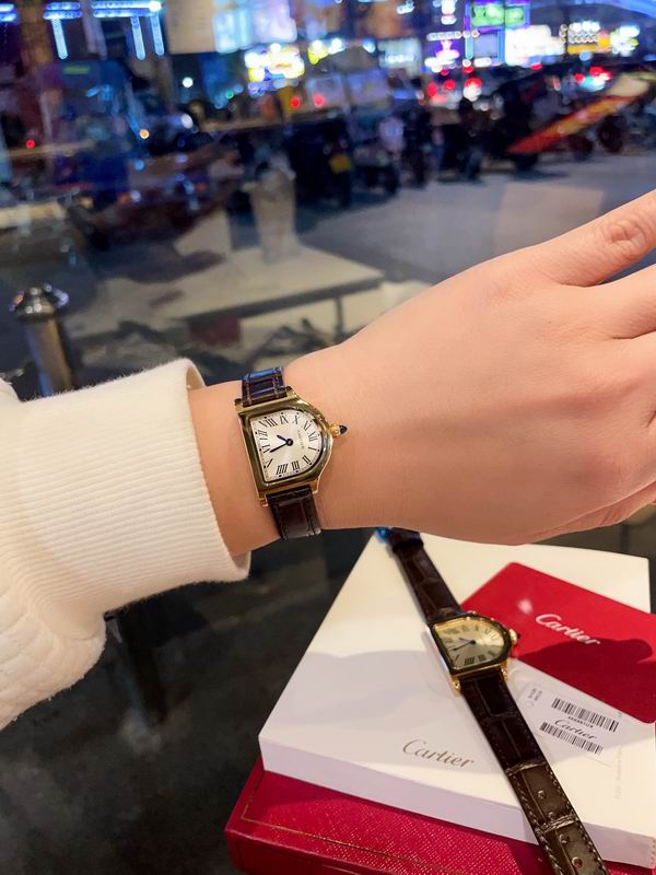 Cartier 24mm 30mm 68 (27)