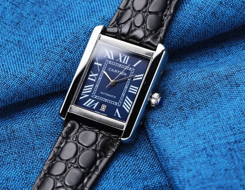 Cartier 31X41mm 34 (1)