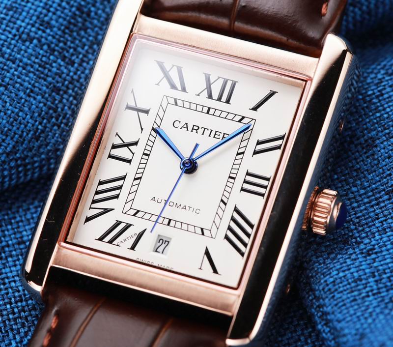 Cartier 31X41mm 34 (11)