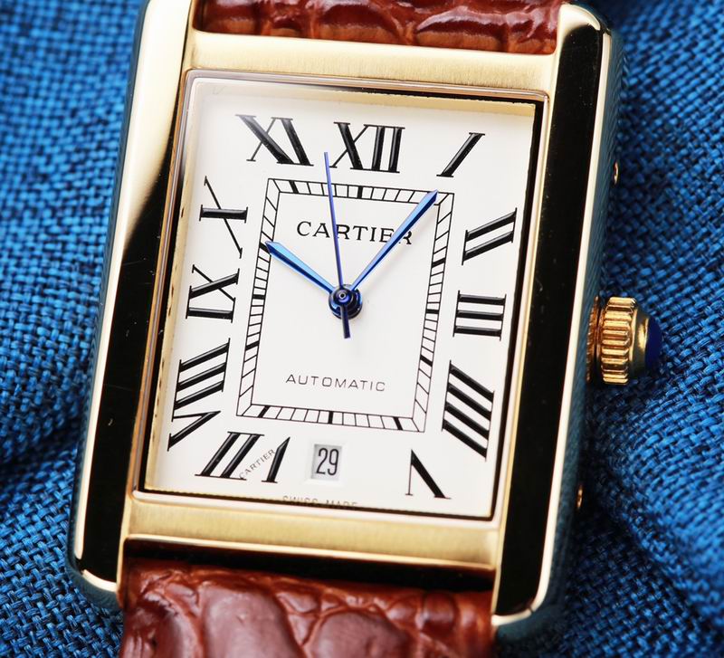 Cartier 31X41mm 34 (13)