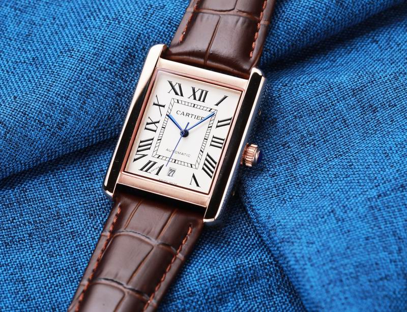 Cartier 31X41mm 34 (16)