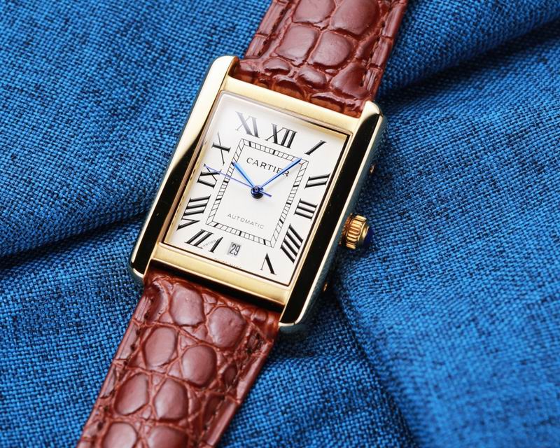 Cartier 31X41mm 34 (18)