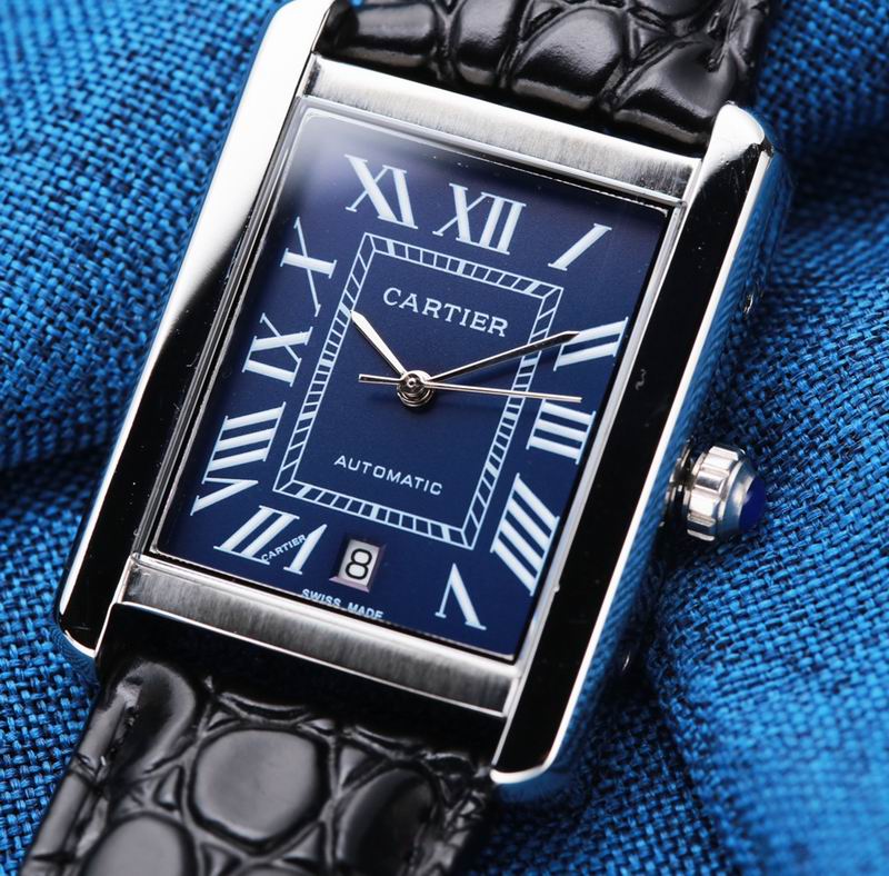 Cartier 31X41mm 34 (4)