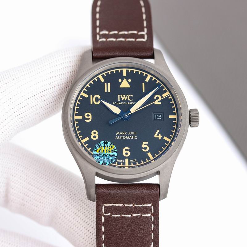IWC Watch 33 (4)