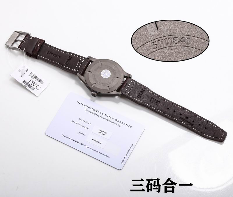 IWC Watch 33 (8)