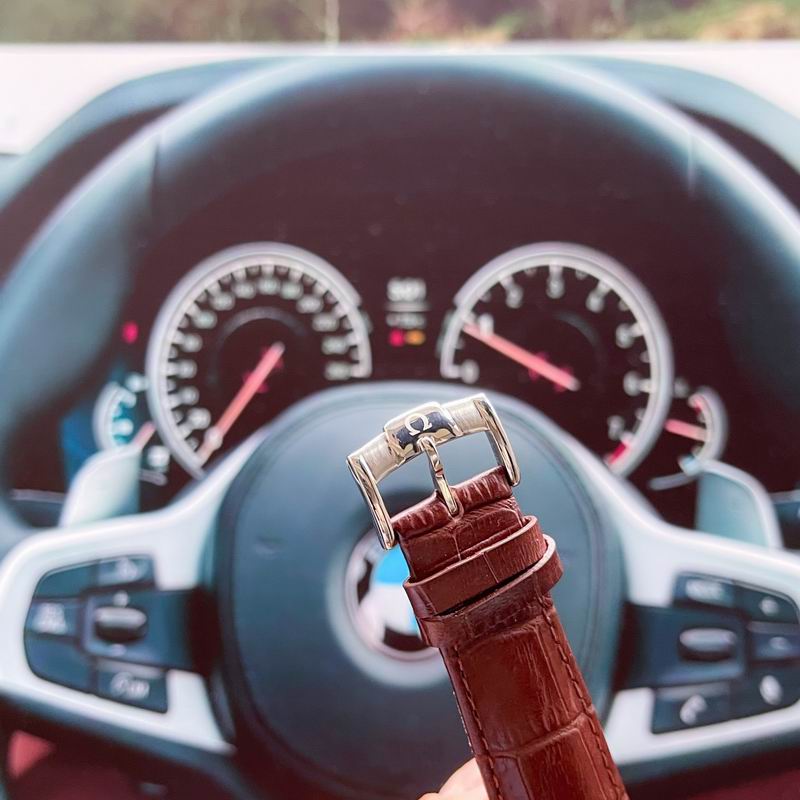 Omega 43X12mm 113 (3)