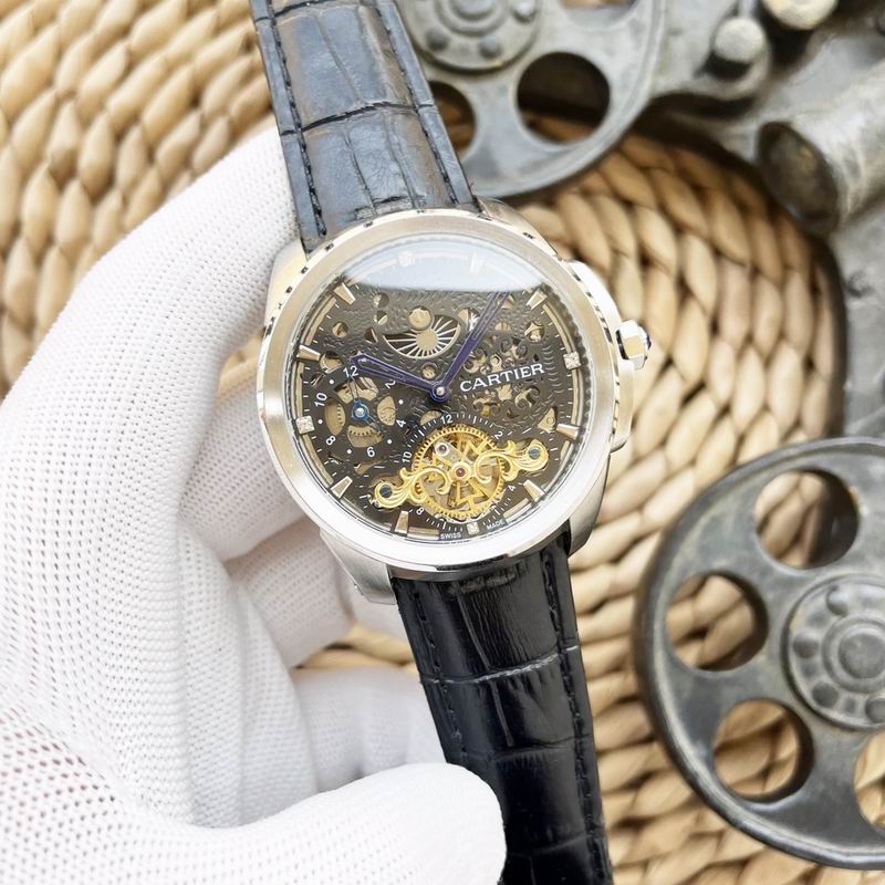 Cartier 47X15mm 66 (1)