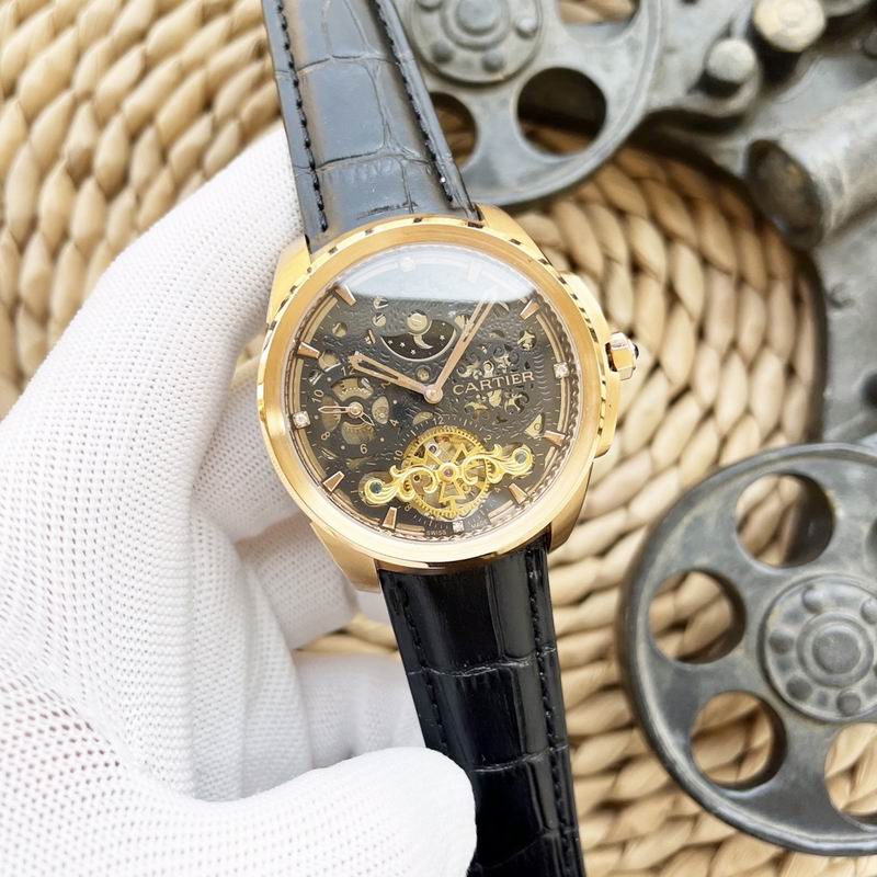 Cartier 47X15mm 66 (2)