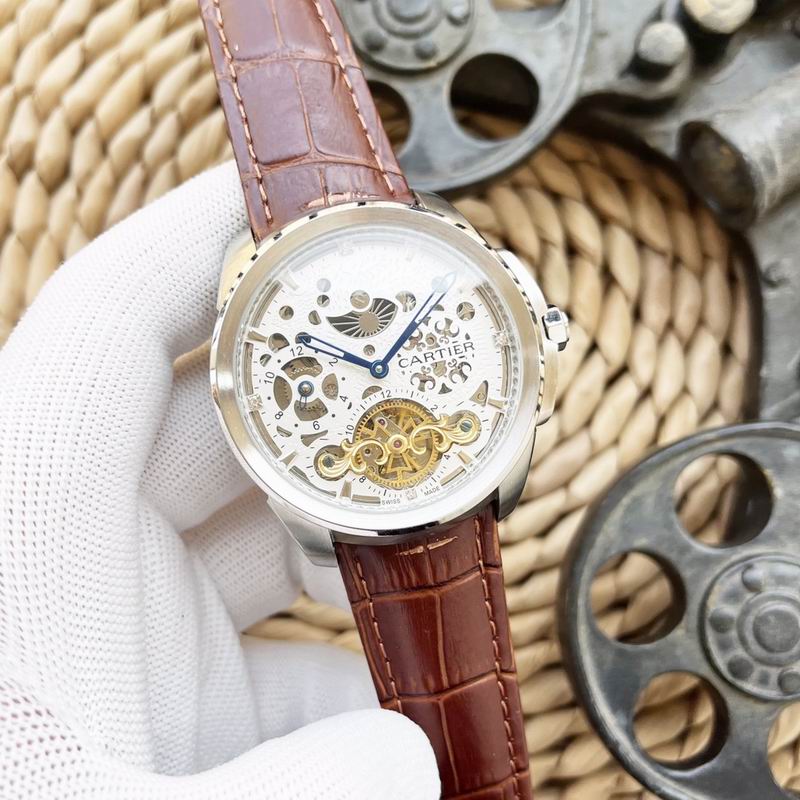 Cartier 47X15mm 66 (3)