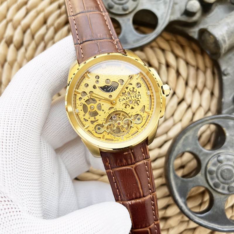 Cartier 47X15mm 66 (5)