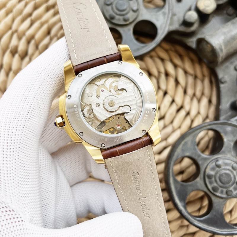 Cartier 47X15mm 66 (6)