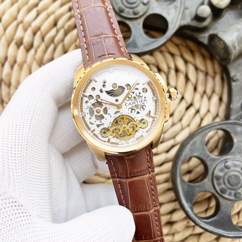 Cartier 47X15mm 66 (7)