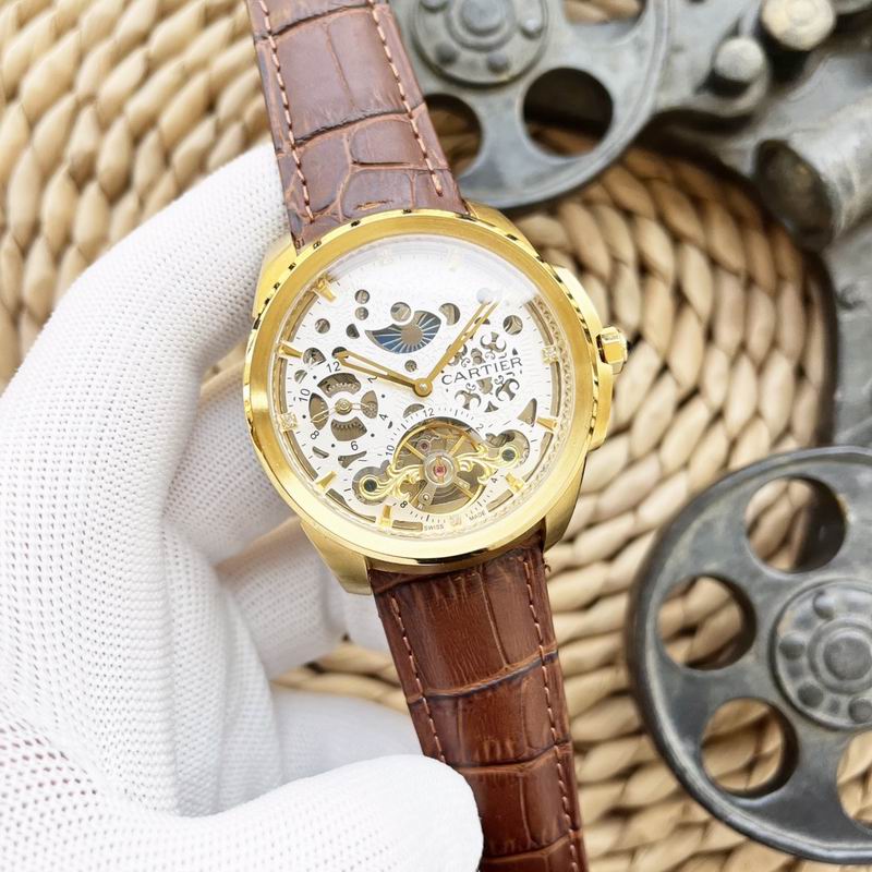 Cartier 47X15mm 66 (8)