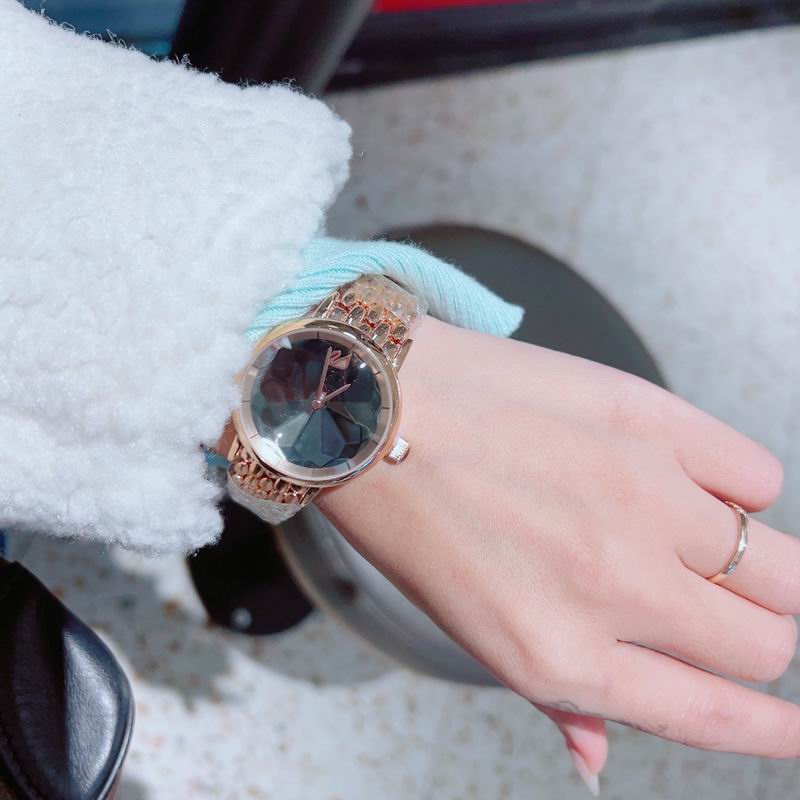 Swarovski 34mm 26 (2)