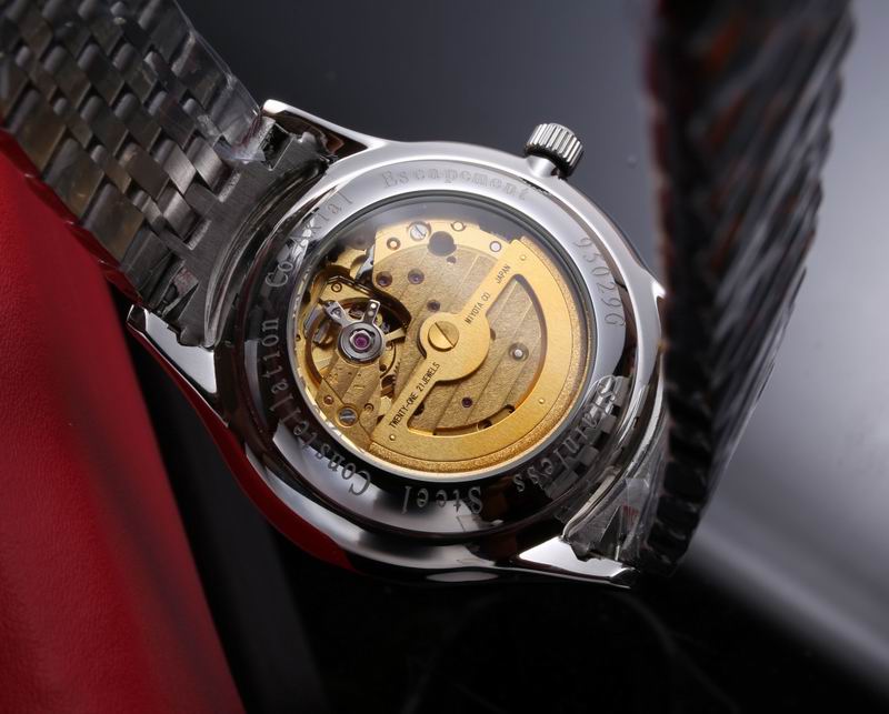 Breguet 39X10mm 24 (10)