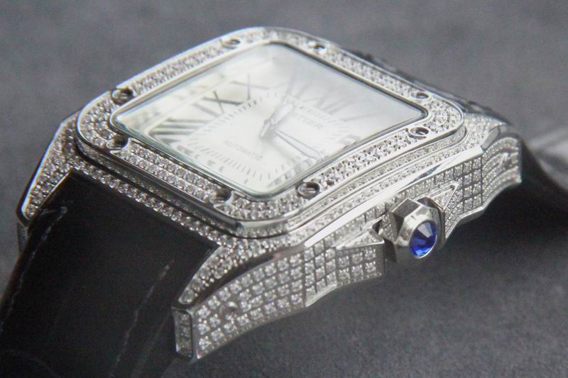 Cartier 36X11mm 42X11mm 171 (3)