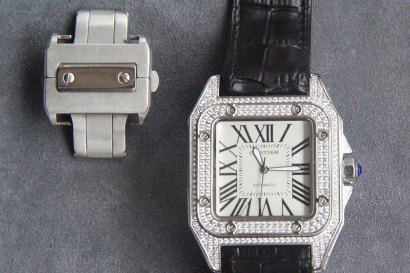 Cartier 36X11mm 42X11mm 171 (4)